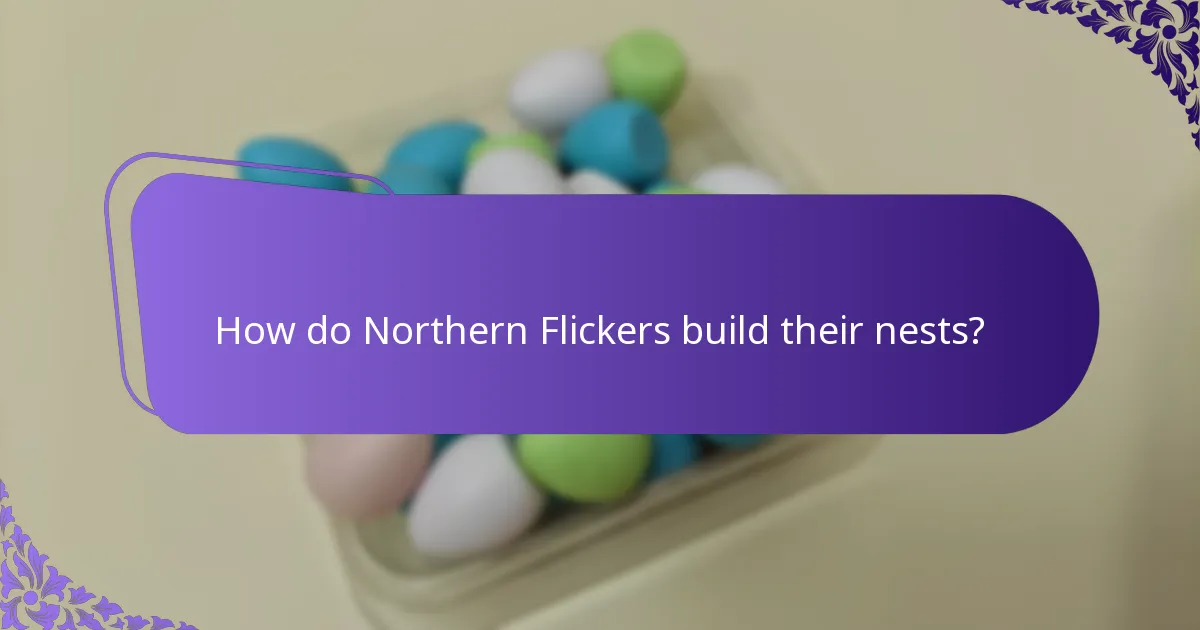 What type of habitat does the Northern Flicker prefer?