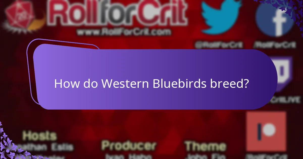 What does the Western Bluebird eat?