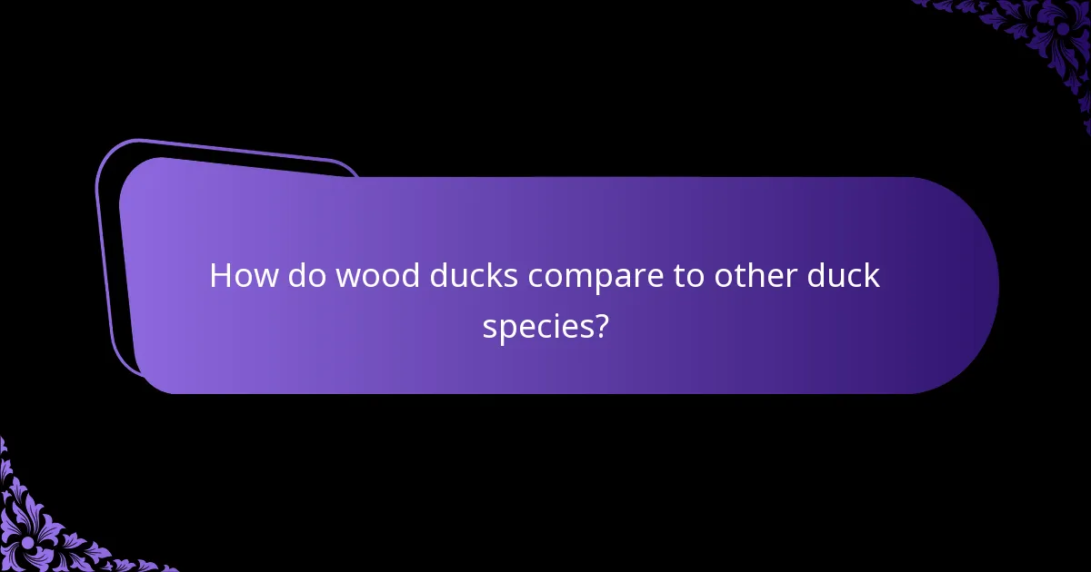 What type of habitat do wood ducks prefer?