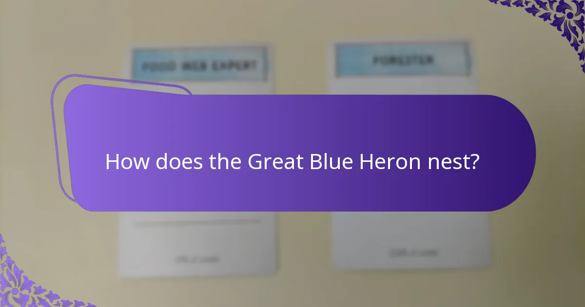 How does the Great Blue Heron nest?