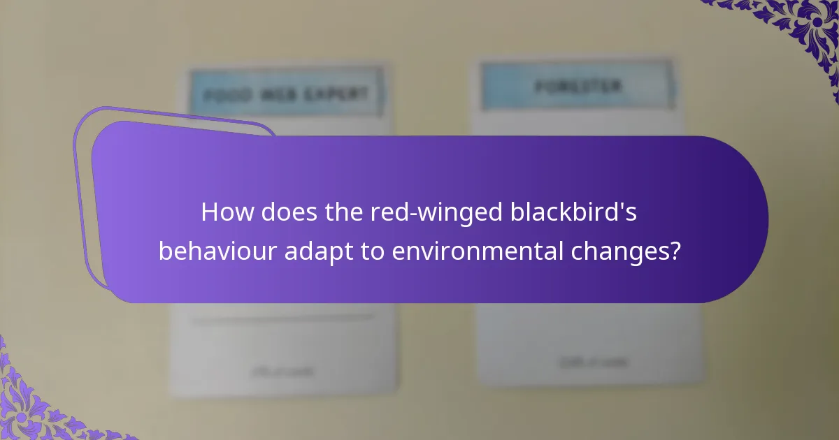 What does the red-winged blackbird eat?
