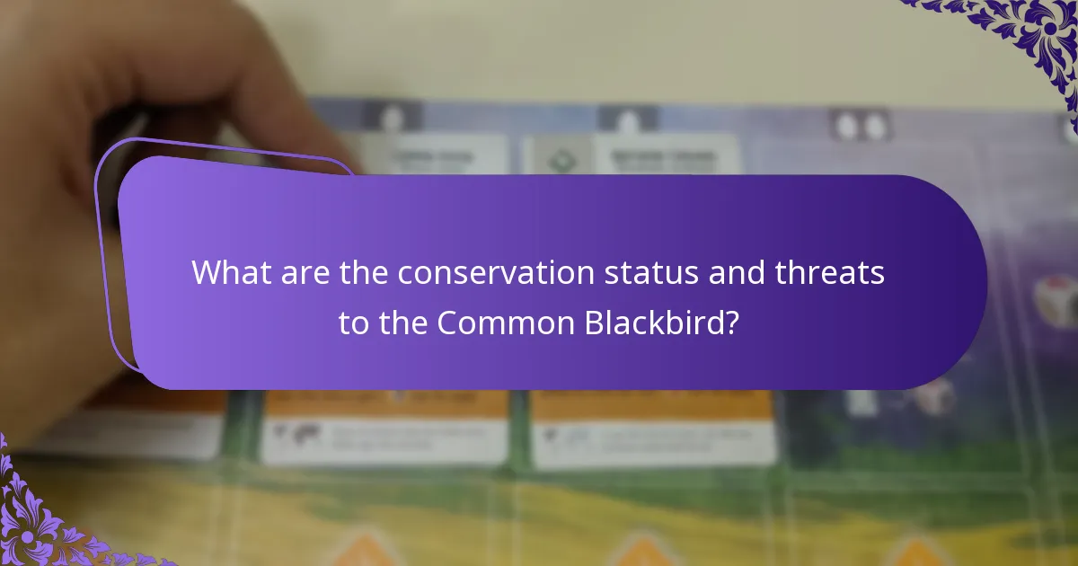 How does the Common Blackbird breed?