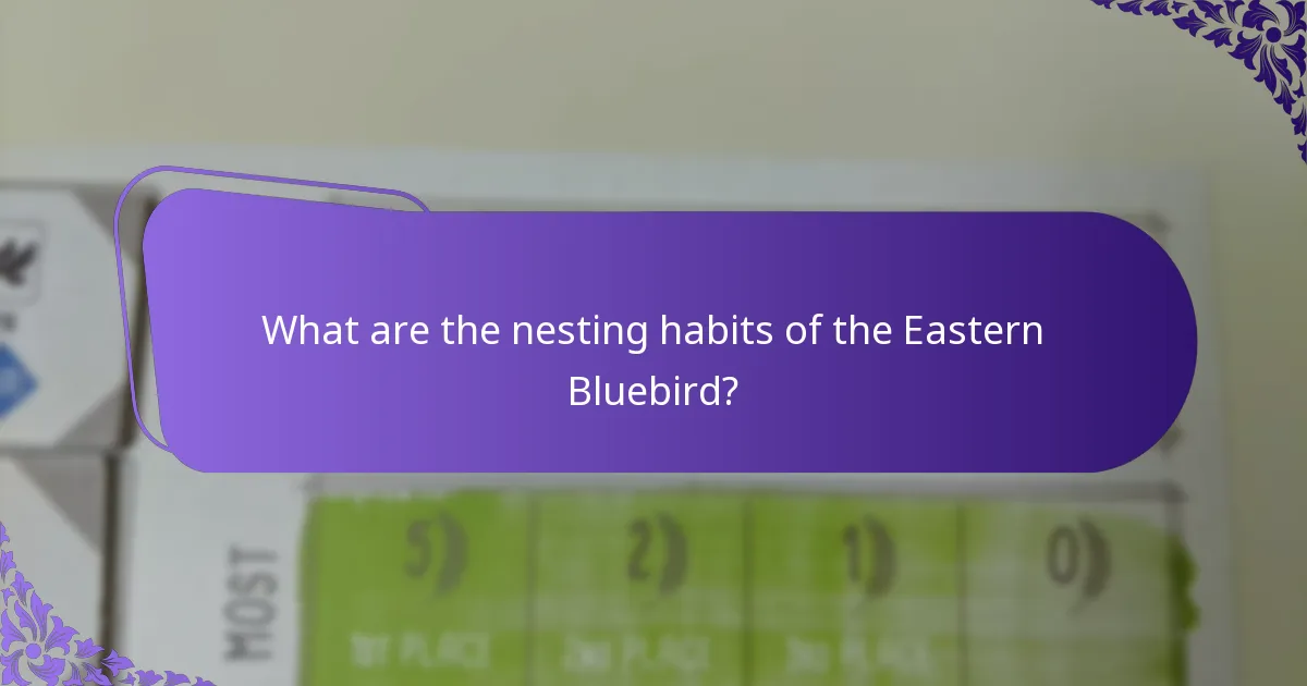 What does the Eastern Bluebird eat?