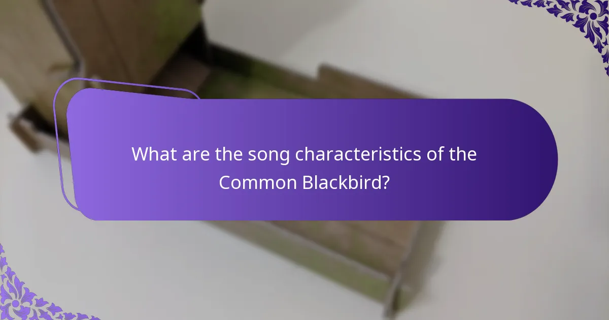 What are the conservation status and threats to the Common Blackbird?