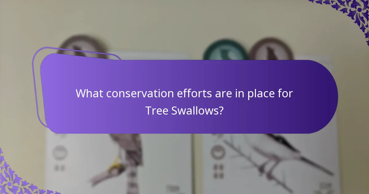 How do Tree Swallows interact with their ecosystem?