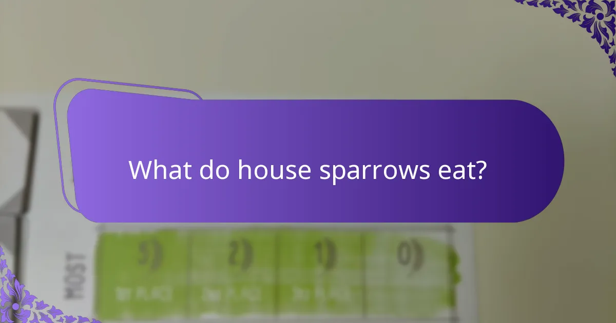 How do social behaviours affect house sparrow populations?