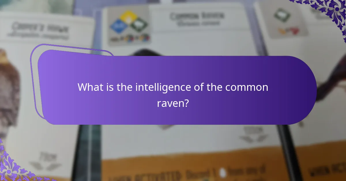 How do common ravens compare to other corvids?